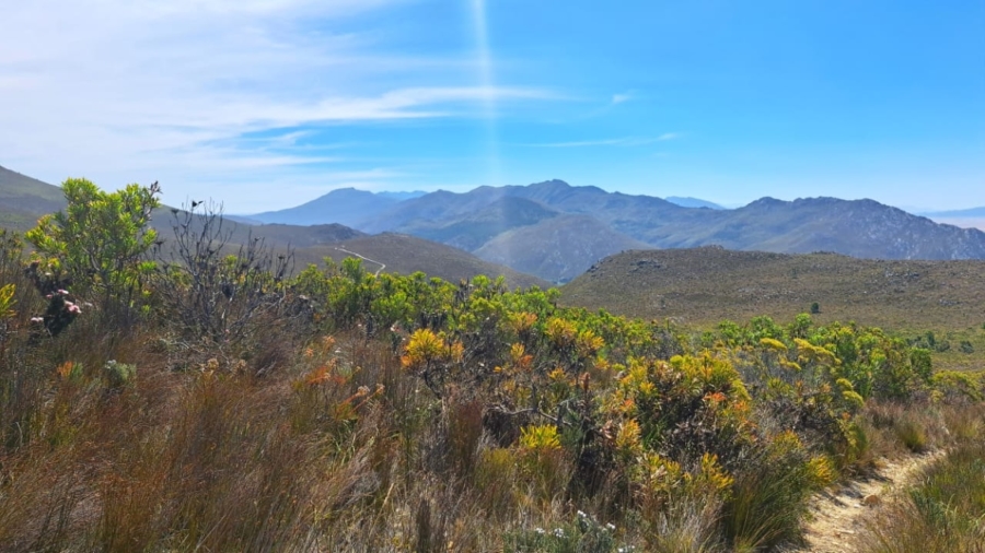 0 Bedroom Property for Sale in Caledon Rural Western Cape